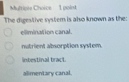 The digestive system is also known as the:
elimination canal.
nutrient absorption system.
intestinal tract.
alimentary canal.