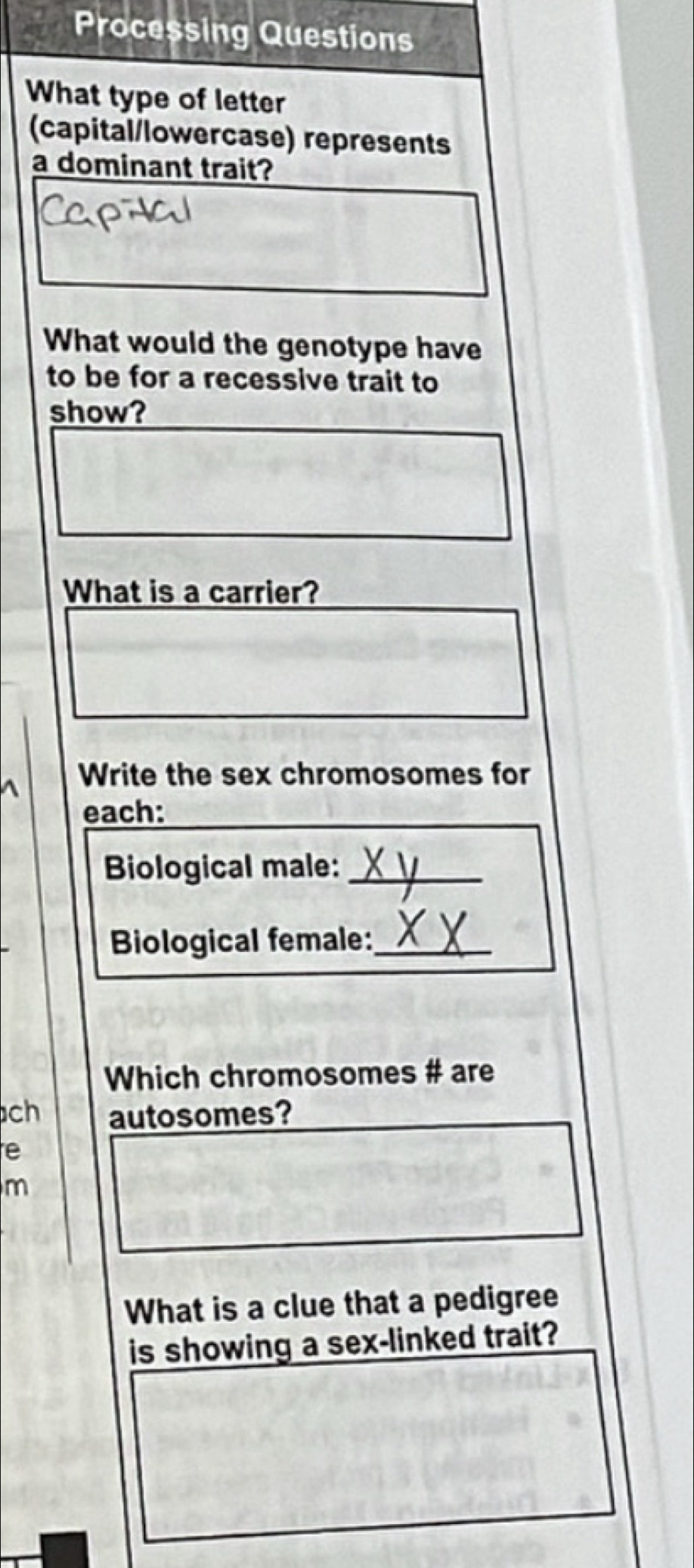 Processing Questions 
What type of letter 
(capital/lowercase) represents 
a dominant trait? 
What would the genotype have 
to be for a recessive trait to 
show? 
What is a carrier? 
Write the sex chromosomes for 
each: 
Biological male:_ 
Biological female:_ 
Which chromosomes # are 
ch autosomes? 
e 
m 
What is a clue that a pedigree 
is showing a sex-linked trait?