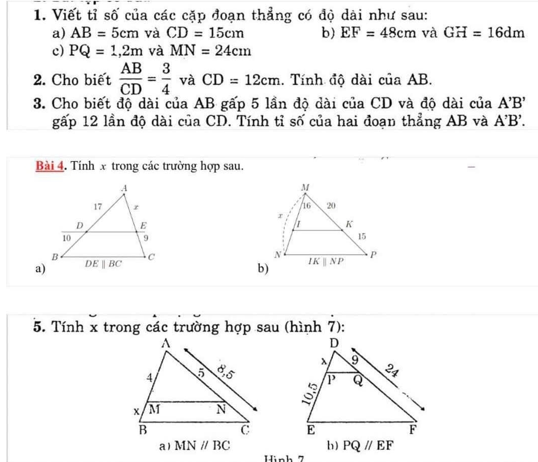 Viết tỉ số của các cặp đoạn thẳng có độ dài như sau:
a) AB=5cm và CD=15cm b) EF=48cm và GH=16dm
c) PQ=1,2m và MN=24cm
2. Cho biết  AB/CD = 3/4  và CD=12cm. Tính độ dài của AB.
3. Cho biết độ dài của AB gấp 5 lần độ dài của CD và độ dài của A'B'
gấp 12 lần độ dài của CD. Tính tỉ số của hai đoạn thẳng AB và A'B'.
Bài 4. Tính x trong các trường hợp sau.
b)
a)
5. Tính x trong các trường hợp sau (hình 7):
 
a) MNparallel BC b) PQ//EF
Hình 7