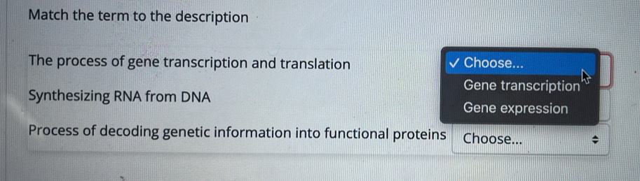 Match the term to the description
The process of gene transcription and translation Choose...
Gene transcription
Synthesizing RNA from DNA
Gene expression
Process of decoding genetic information into functional proteins Choose...