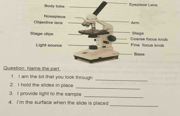 Questi 
1. I am the bit that you look through 
_ 
_ 
2. I hold the slides in place 
3. I provide light to the sample 
_ 
_ 
4. I'm the surface when the slide is placed