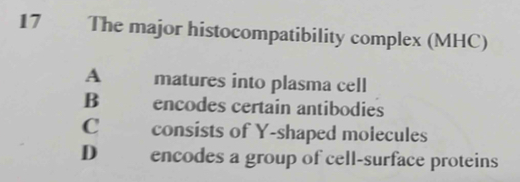 The major histocompatibility complex (MHC)
A matures into plasma cell
B encodes certain antibodies
C consists of Y -shaped molecules
D encodes a group of cell-surface proteins