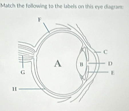 Match the following to the labels on this eye diagram: