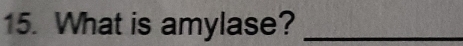 What is amylase?_