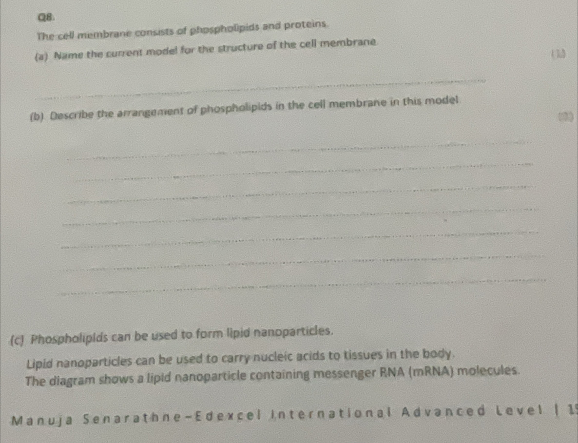 The cell membrane consists of phospholipids and proteins. 
(a) Name the current model for the structure of the cell membrane. 
(3) 
_ 
(b) Describe the arrangement of phospholipids in the cell membrane in this model 
(3) 
_ 
_ 
_ 
_ 
_ 
_ 
_ 
(c) Phospholipids can be used to form lipid nanoparticles. 
Lipid nanoparticles can be used to carry nucleic acids to tissues in the body. 
The diagram shows a lipid nanoparticle containing messenger RNA (mRNA) molecules. 
Manuja Senarathne-Edexcel international Advanced Level | 15