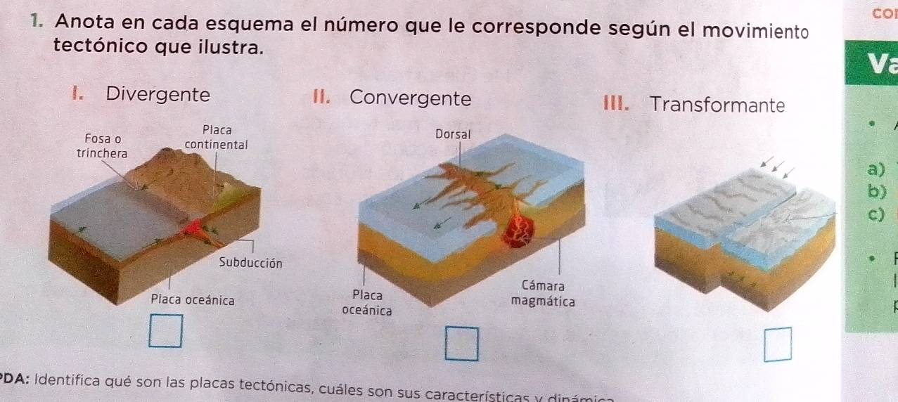 COI 
1. Anota en cada esquema el número que le corresponde según el movimiento 
tectónico que ilustra. 
Va 
I. Divergente II. Convergente III. Transformante 
Placa 
Fosa o 
trinchera continental 
a) 
b) 
c) 
Subducción 
Placa oceánica 
PDA: Identifica qué son las placas tectónicas, cuáles son sus características y dinámio