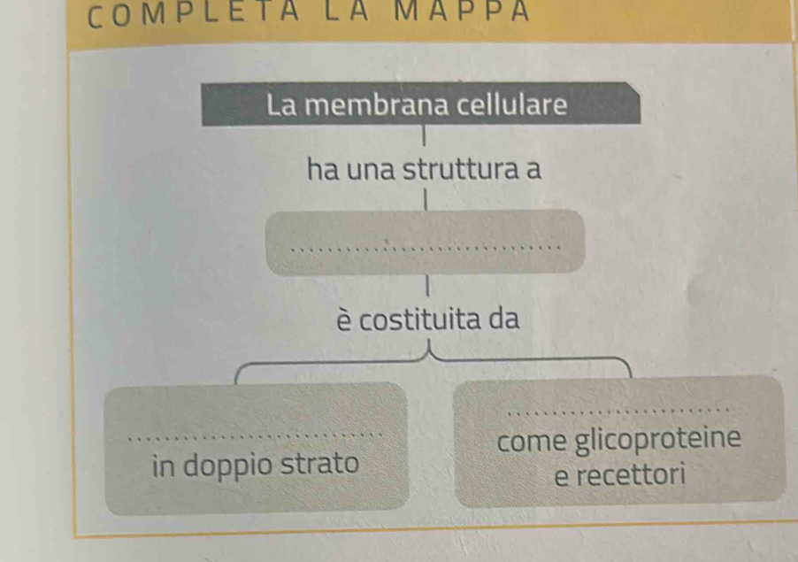 Completa la mappa
La membrana cellulare
ha una struttura a
_
è costituita da
_
come glicoproteine
in doppio strato
e recettori