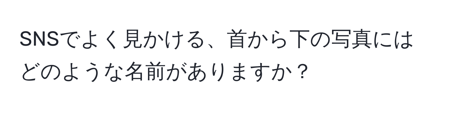 SNSでよく見かける、首から下の写真にはどのような名前がありますか？