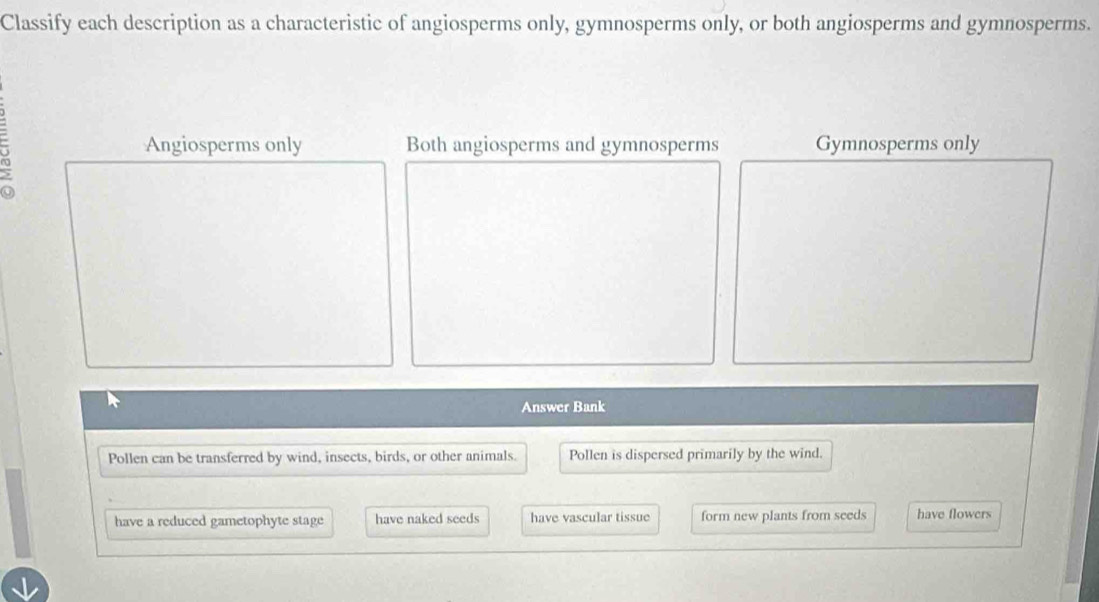 Classify each description as a characteristic of angiosperms only, gymnosperms only, or both angiosperms and gymnosperms.
ra
Angiosperms only Both angiosperms and gymnosperms Gymnosperms only
Answer Bank
Pollen can be transferred by wind, insects, birds, or other animals. Pollen is dispersed primarily by the wind.
have a reduced gametophyte stage have naked seeds have vascular tissue form new plants from seeds have flowers