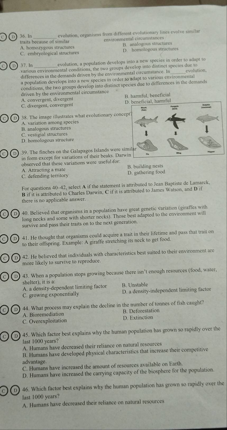 In _evolution, organisms from different evolutionary lines evolve similar
traits because of similar environmental circumstances
A. homozygous structures B. analogous structures
C. embryological structures D. homologous structures
D 37. In_ evolution, a population develops into a new species in order to adapt to
.various environmental conditions, the two groups develop into distinct species due to
differences in the demands driven by the environmental circumstance. In_ evolution,
a population develops into a new species in order to adapt to various environmental
conditions, the two groups develop into distinct species due to differences in the demands
driven by the environmental circumstance
A. convergent, divergent B. harmful, beneficial
C. divergent, convergent D
C D 38. The image illustrates what evolutionary conce
A. variation among species
B. analogous structures
C. vestigial structures
D. homologous structure
C D) 39. The finches on the Galapagos Islands were si
in form except for variations of their beaks. Darw
observed that these variations were useful for:
A. Attracting a mate B. building nests
C. defending territory D. gathering food
For questions 40-42, select A if the statement is attributed to Jean Baptiste de Lamarck,
B if it is attributed to Charles Darwin, C if it is attributed to James Watson, and D if
there is no applicable answer.
C D) 40. Believed that organisms in a population have great genetic variation (giraffes with
long necks and some with shorter necks). Those best adapted to the environment will
survive and pass their traits on to the next generation.
C D) 41. He thought that organisms could acquire a trait in their lifetime and pass that trait on
to their offspring. Example: A giraffe stretching its neck to get food.
c D 42. He believed that individuals with characteristics best suited to their environment are
more likely to survive to reproduce.
C D) 43. When a population stops growing because there isn’t enough resources (food, water,
shelter), it is a:
A. a density-dependent limiting factor B. Unstable
C. growing exponentially D. a density-independent limiting factor
C D) 44. What process may explain the decline in the number of tonnes of fish caught?
A. Bioremediation B. Deforestation
C. Overexploitation D. Extinction
C D) 45. Which factor best explains why the human population has grown so rapidly over the
last 1000 years?
A. Humans have decreased their reliance on natural resources
B. Humans have developed physical characteristics that increase their competitive
advantage.
C. Humans have increased the amount of resources available on Earth.
D. Humans have increased the carrying capacity of the biosphere for the population.
C D) 46. Which factor best explains why the human population has grown so rapidly over the
last 1000 years?
A. Humans have decreased their reliance on natural resources