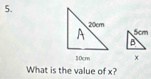 What is the value of x?