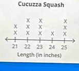 Cucuzza Squash