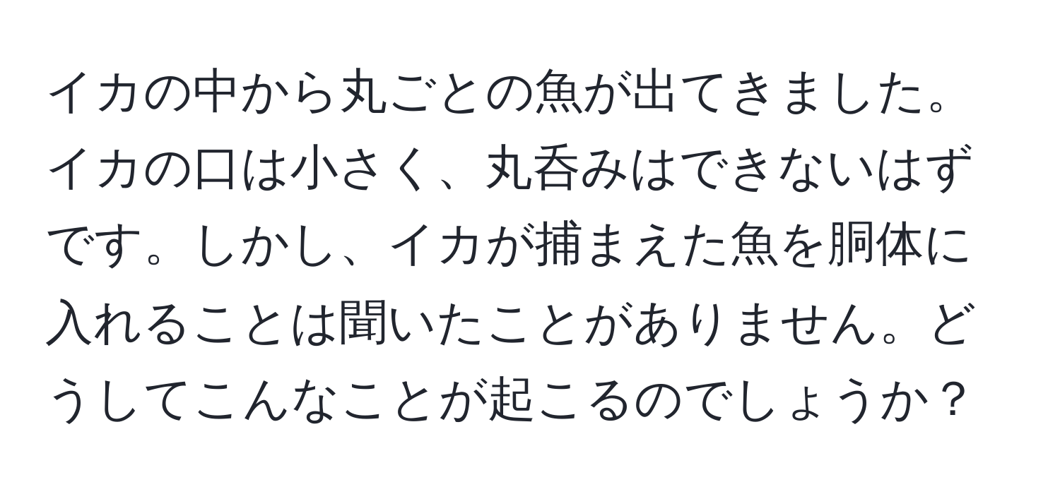 イカの中から丸ごとの魚が出てきました。イカの口は小さく、丸呑みはできないはずです。しかし、イカが捕まえた魚を胴体に入れることは聞いたことがありません。どうしてこんなことが起こるのでしょうか？