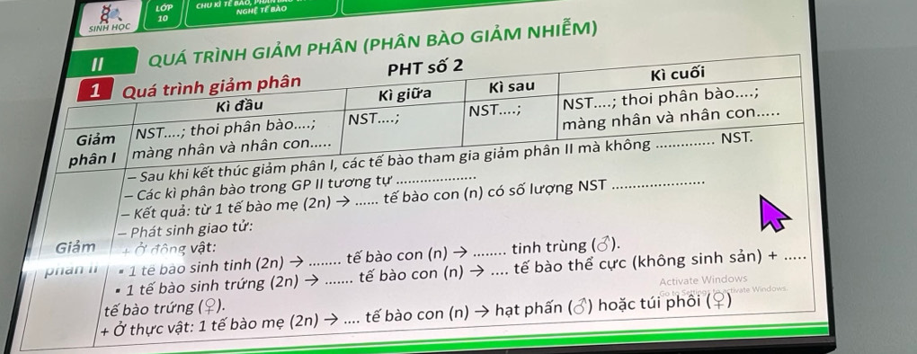 Chu Kỷ Tế bà 
SINH HOC NGHệ tế bào 
10 
HÂN (PHÂN BÀO GIẢM NHIẾM) 
1 tế bào sin 
tế bào trứng (♀). 
+ Ở thực vật: 1 tế bào mẹ (2n) → .... tế bào con (n) → hạt phấn (♂) hoặc túi phối (♀)