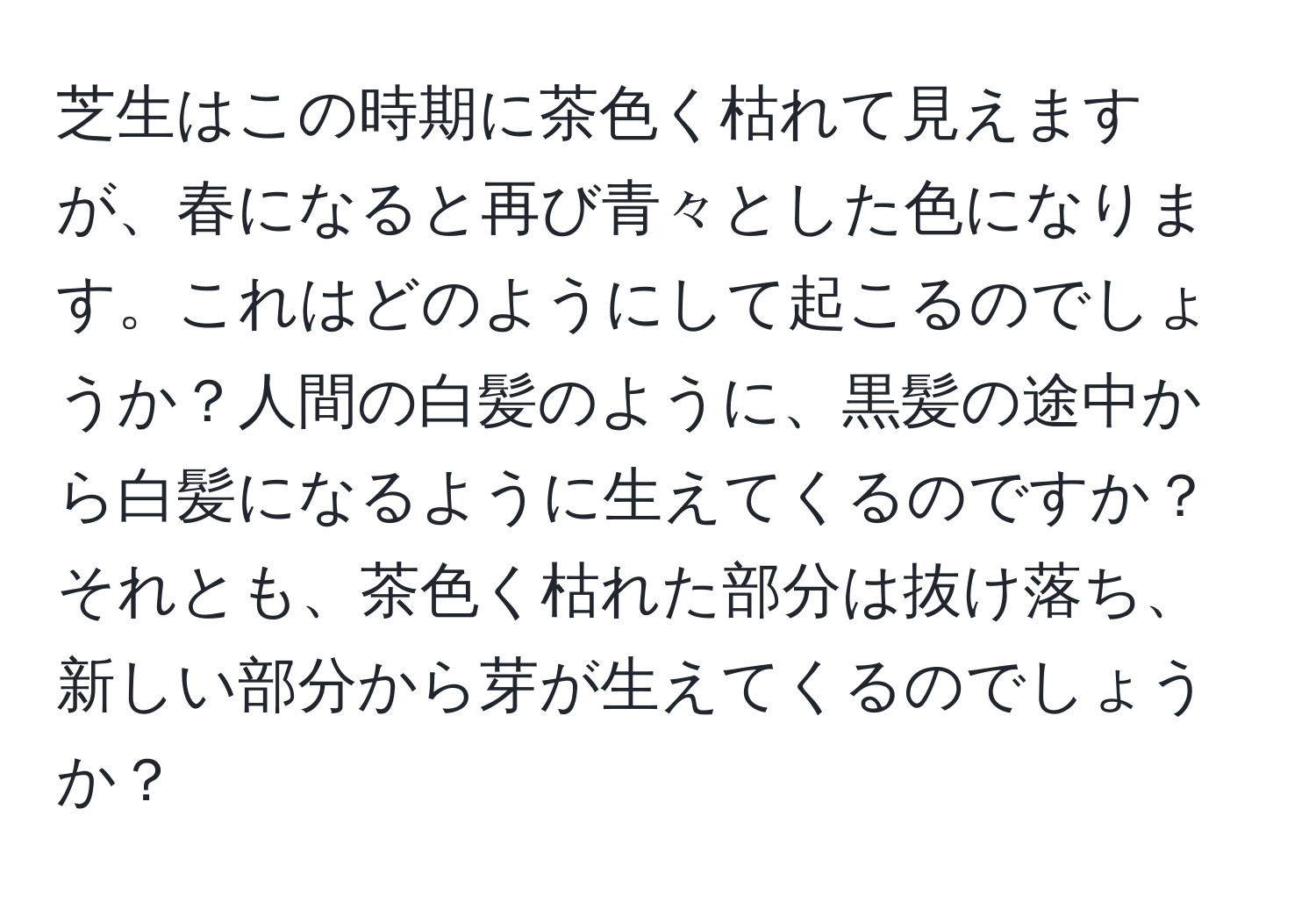 芝生はこの時期に茶色く枯れて見えますが、春になると再び青々とした色になります。これはどのようにして起こるのでしょうか？人間の白髪のように、黒髪の途中から白髪になるように生えてくるのですか？それとも、茶色く枯れた部分は抜け落ち、新しい部分から芽が生えてくるのでしょうか？