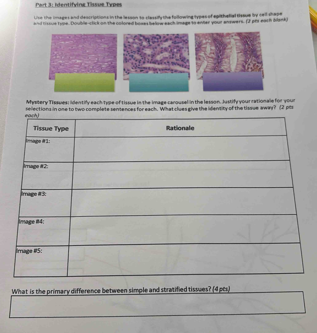 Solved: Identifying Tissue Types Use the images and descriptions in the ...
