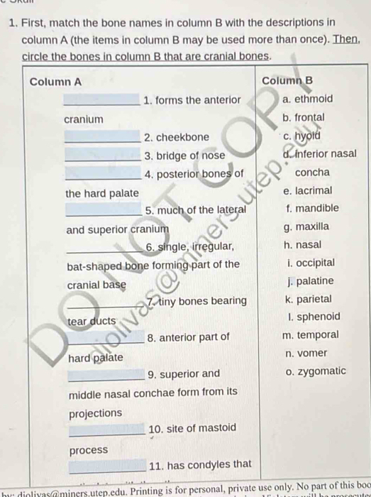 First, match the bone names in column B with the descriptions in
column A (the items in column B may be used more than once). Then,
circle the bones in column B that are cranial bones.
Column A Column B
_1. forms the anterior a. ethmoid
cranium b. frontal
_2. cheekbone c. hyold
_3. bridge of nose d. inferior nasal
_4. posterior bones of concha
the hard palate e. lacrimal
_5. much of the lateral f. mandible
and superior cranium g. maxilla
_6. single, irregular, h. nasal
bat-shaped bone forming part of the i. occipital
cranial base j. palatine
_7. tiny bones bearing k. parietal
tear ducts I. sphenoid
_8. anterior part of m. temporal
hard palate n. vomer
_9. superior and o. zygomatic
middle nasal conchae form from its
projections
_
10. site of mastoid
process
_
11. has condyles that
by: diolivas@miners.utep.edu. Printing is for personal, private use only. No part of this boo