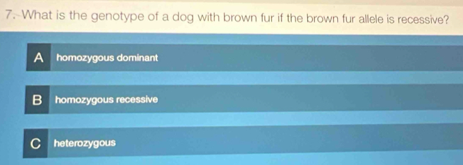 What is the genotype of a dog with brown fur if the brown fur allele is recessive?
A homozygous dominant
B homozygous recessive
C heterozygous