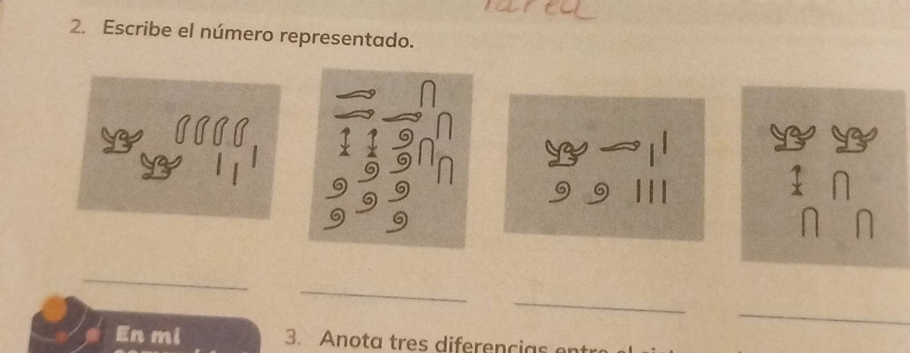 Escribe el número representado. 
_ 
_ 
_ 
_ 
En mi 3. Anota tres diferencias e