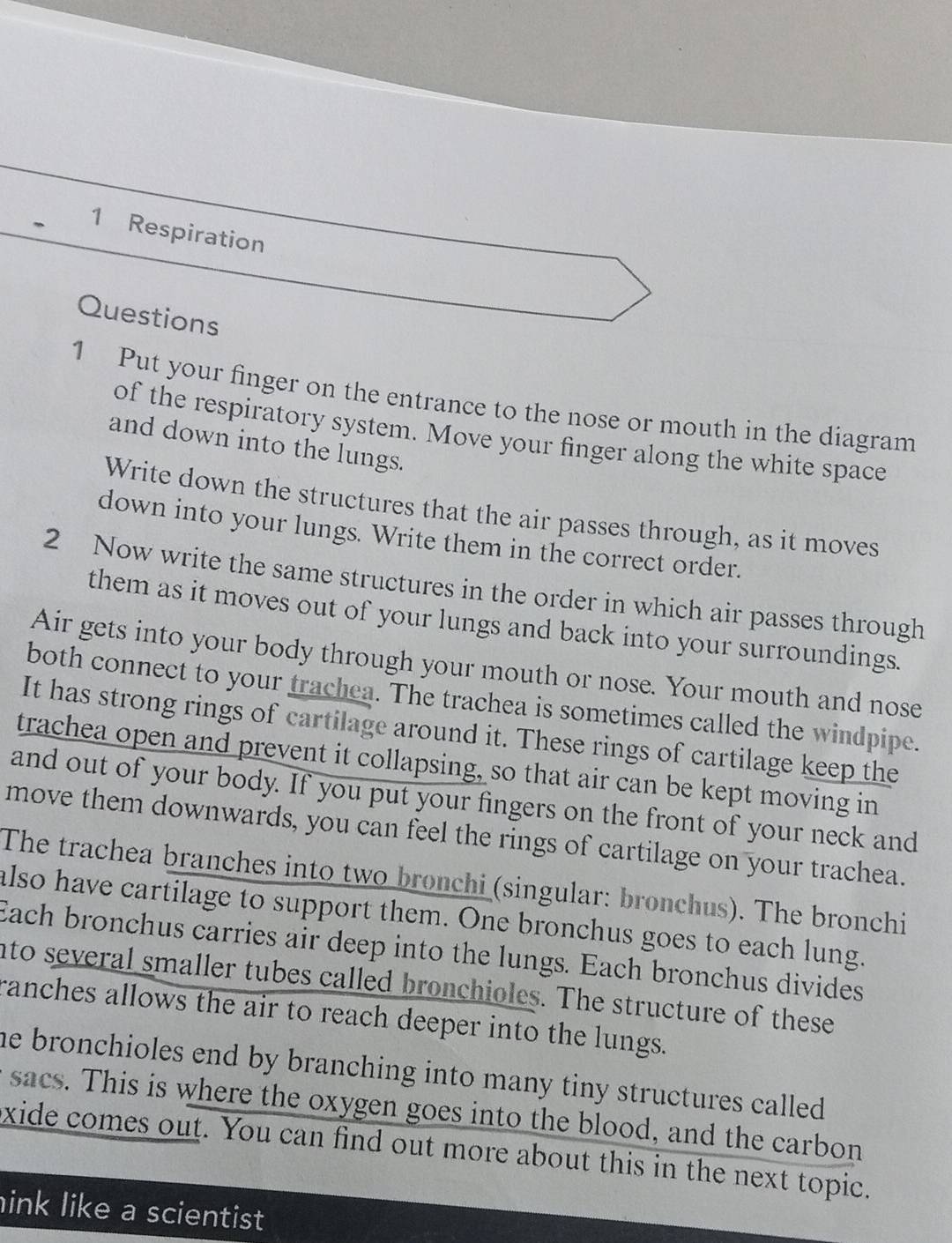 Respiration 
Questions 
1 Put your finger on the entrance to the nose or mouth in the diagram 
of the respiratory system. Move your finger along the white space 
and down into the lungs. 
Write down the structures that the air passes through, as it moves 
down into your lungs. Write them in the correct order. 
2 Now write the same structures in the order in which air passes through 
them as it moves out of your lungs and back into your surroundings. 
Air gets into your body through your mouth or nose. Your mouth and nose 
both connect to your trachea. The trachea is sometimes called the windpipe. 
It has strong rings of cartilage around it. These rings of cartilage keep the 
trachea open and prevent it collapsing, so that air can be kept moving in 
and out of your body. If you put your fingers on the front of your neck and 
move them downwards, you can feel the rings of cartilage on your trachea. 
The trachea branches into two bronchi (singular: bronchus). The bronchi 
also have cartilage to support them. One bronchus goes to each lung. 
Each bronchus carries air deep into the lungs. Each bronchus divides 
nto several smaller tubes called bronchioles. The structure of these 
ranches allows the air to reach deeper into the lungs. 
he bronchioles end by branching into many tiny structures called . 
sacs. This is where the oxygen goes into the blood, and the carbon 
xide comes out. You can find out more about this in the next topic. 
ink like a scientist