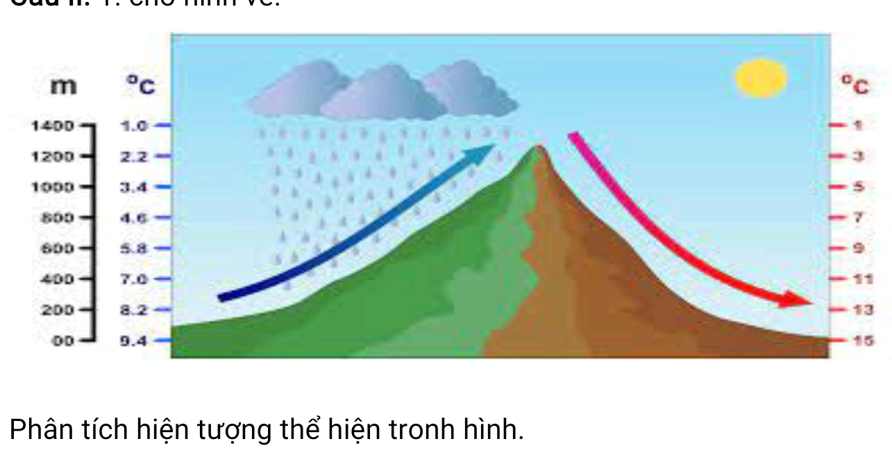 Phân tích hiện tượng thể hiện tronh hình.