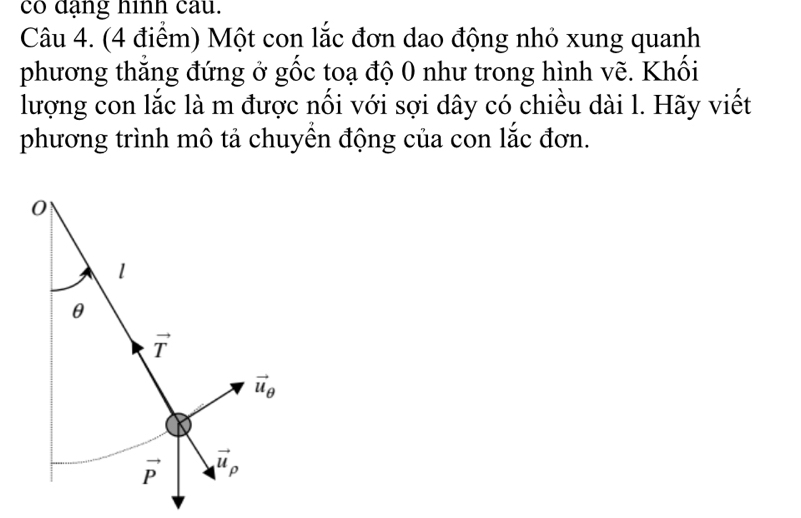 co đạng hình cau. 
Câu 4. (4 điểm) Một con lắc đơn dao động nhỏ xung quanh 
phương thắng đứng ở gốc toạ độ 0 như trong hình vẽ. Khối 
lượng con lắc là m được nối với sợi dây có chiều dài l. Hãy viết 
phương trình mô tả chuyển động của con lắc đơn.
0
1
θ
vector T
vector u_θ 
vector P vector u_p