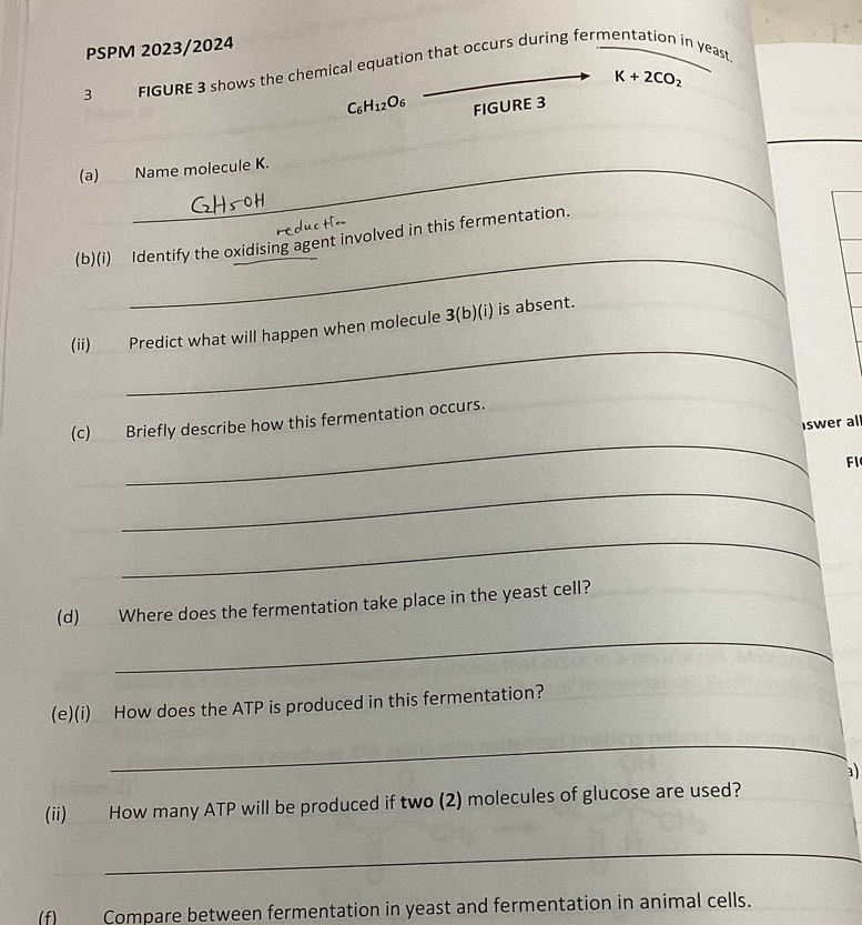 PSPM 2023/2024 
3 FIGURE 3 shows the chemical equation that occurs during fermentation in yeast
K+2CO_2
C_6H_12O_6 FIGURE 3 
(a) Name molecule K. 
_ 
(b)(i) Identify the oxidising agent involved in this fermentation. 
_ 
(ii) Predict what will happen when molecule 3 (b)(i) is absent. 
(c) Briefly describe how this fermentation occurs. 
swer all 
_ 
Fl 
_ 
_ 
(d) Where does the fermentation take place in the yeast cell? 
_ 
(e)(i) How does the ATP is produced in this fermentation? 
_ 
a) 
(ii) How many ATP will be produced if two (2) molecules of glucose are used? 
_ 
(f) Compare between fermentation in yeast and fermentation in animal cells.