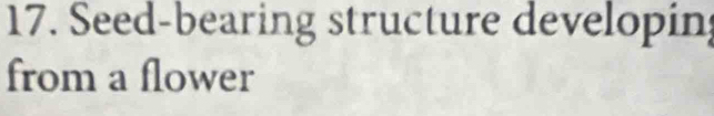 Seed-bearing structure developing 
from a flower