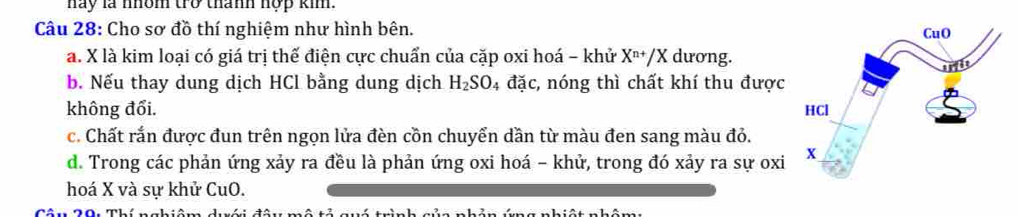 hay là nhôm trở thành hợp kim.
Câu 28: Cho sơ đồ thí nghiệm như hình bên.
a. X là kim loại có giá trị thế điện cực chuẩn của cặp oxi hoá - khử X^(n+)/X dương.
b. Nếu thay dung dịch HCl bằng dung dịch H_2SO 04 đặc, nóng thì chất khí thu được
không đổi.
c. Chất rắn được đun trên ngọn lửa đèn cồn chuyển dần từ màu đen sang màu đỏ.
d. Trong các phản ứng xảy ra đều là phản ứng oxi hoá - khử, trong đó xảy ra sự oxi
hoá X và sự khử CuO.