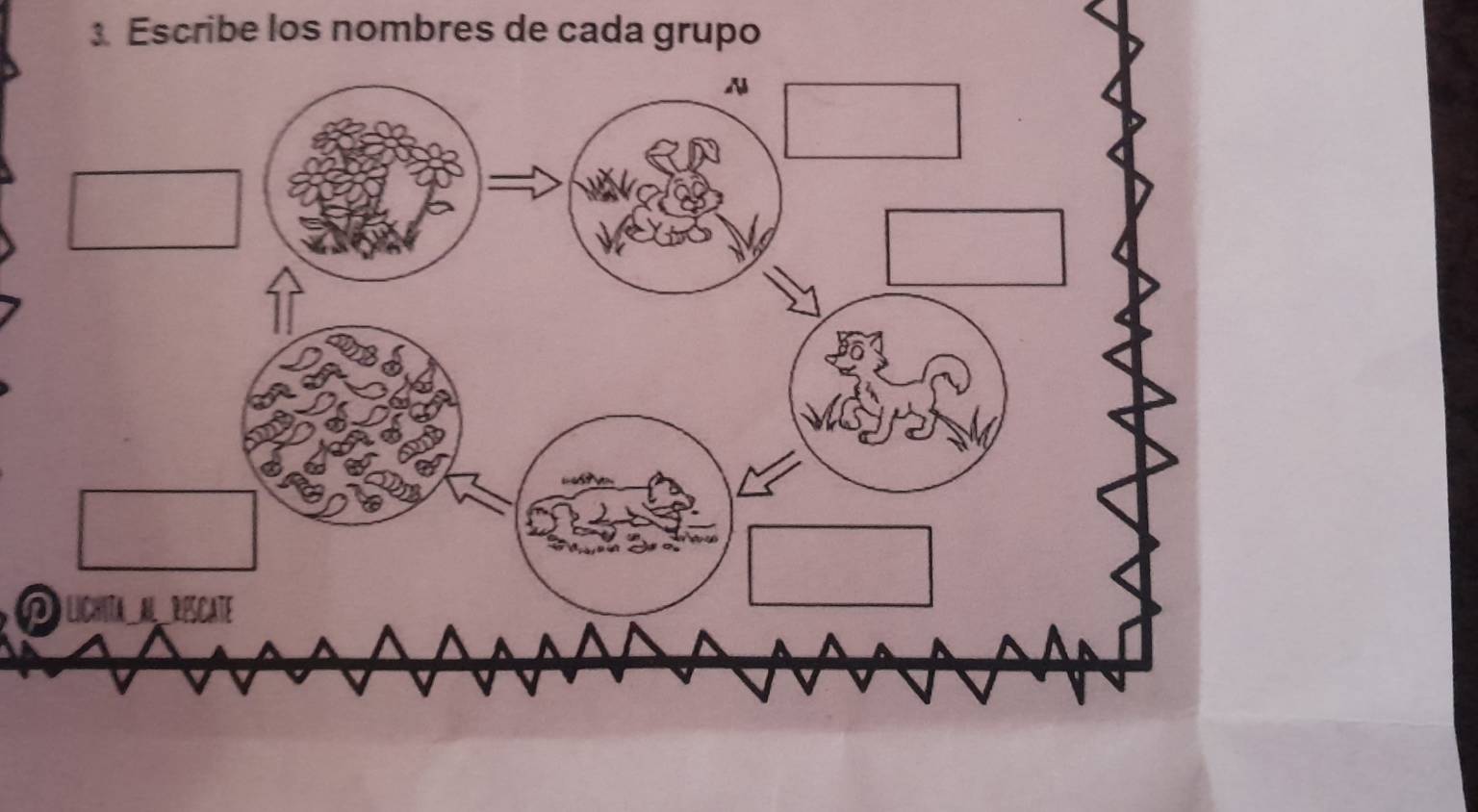 Escribe los nombres de cada grupo 
②