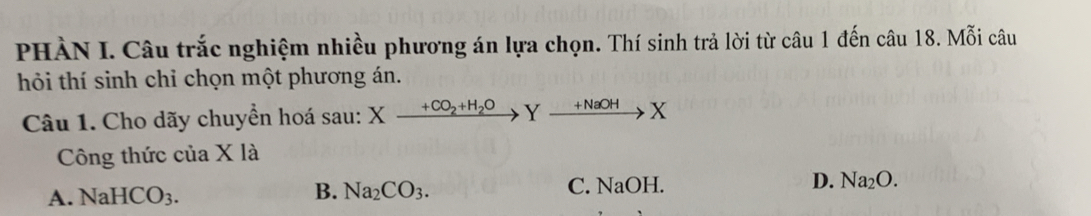 PHÀN I. Câu trắc nghiệm nhiều phương án lựa chọn. Thí sinh trả lời từ câu 1 đến câu 18. Mỗi câu
hỏi thí sinh chỉ chọn một phương án.
Câu 1. Cho dãy chuyển hoá sau: Xxrightarrow +CO_2+H_2OYxrightarrow +NaOHX
Công thức của X là
A. NaHCO_3. B. Na_2CO_3. C. NaOH D. Na_2O.