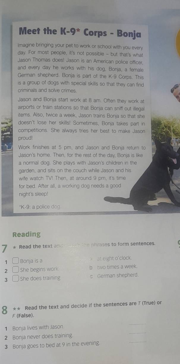 Meet the K-9^* Corps - Bonja 
Imagine bringing your pet to work or school with you every
day. For most people, it's not possible - but that's what 
Jason Thomas does! Jason is an American police officer, 
and every day he works with his dog, Bonja, a female 
German shepherd. Bonja is part of the K-9 Corps. This 
is a group of dogs with special skills so that they can find 
criminals and solve crimes. 
Jason and Bonja start work at 8 am. Often they work at 
airports or train stations so that Bonja can sniff out illegal 
items. Also, twice a week, Jason trains Bonja so that she 
doesn't lose her skills! Sometimes, Bonja takes part in 
competitions. She always tries her best to make Jason 
proud! 
Work finishes at 5 pm, and Jason and Bonja return to 
Jason's home. Then, for the rest of the day, Bonja is like 
a normal dog. She plays with Jason's children in the 
garden, and sits on the couch while Jason and his 
wife watch TV! Then, at around 9 pm, it's time 
for bed. After all, a working dog needs a good 
night's sleep! 
*K-9: a police dog. 
Reading 
7 * Read the text and uatch the phrases to form sentences. 
1 Bonja is a at eight o'clock. 
2 She begins work b two times a week. 
3 □ She does training c German shepherd. 
8 ★★ Read the text and decide if the sentences are 7 (True) or 
F (False). 
_ 
1 Bonja lives with Jason. 
_ 
_ 
2 Bonja never does training. 
3 Bonja goes to bed at 9 in the evening.