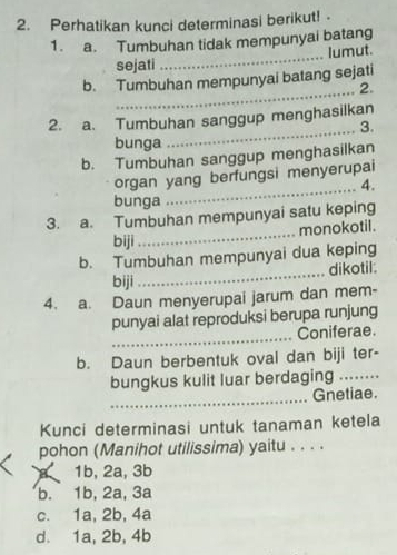 Perhatikan kunci determinasi berikut! 
1. a. Tumbuhan tidak mempunyai batang
sejati _lumut.
b. Tumbuhan mempunyai batang sejati
_2.
2. a. Tumbuhan sanggup menghasilkan
_3.
bunga
b. Tumbuhan sanggup menghasilkan
_
organ yang berfungsi menyerupai
4.
bunga
_
3. a. Tumbuhan mempunyai satu keping
monokotil.
biji
b. Tumbuhan mempunyai dua keping
biji _dikotil:
4. a. Daun menyerupai jarum dan mem-
_
punyai alat reproduksi berupa runjung
Coniferae.
b. Daun berbentuk oval dan biji ter-
bungkus kulit luar berdaging ........
_
Gnetiae.
Kunci determinasi untuk tanaman ketela
pohon (Manihot utilissima) yaitu . . . .
1b, 2a, 3b
b. 1b, 2a, 3a
c. 1a, 2b, 4a
d. 1a, 2b, 4b