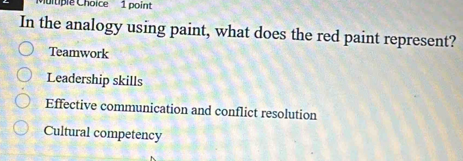 In the analogy using paint, what does the red paint represent?
Teamwork
Leadership skills
Effective communication and conflict resolution
Cultural competency