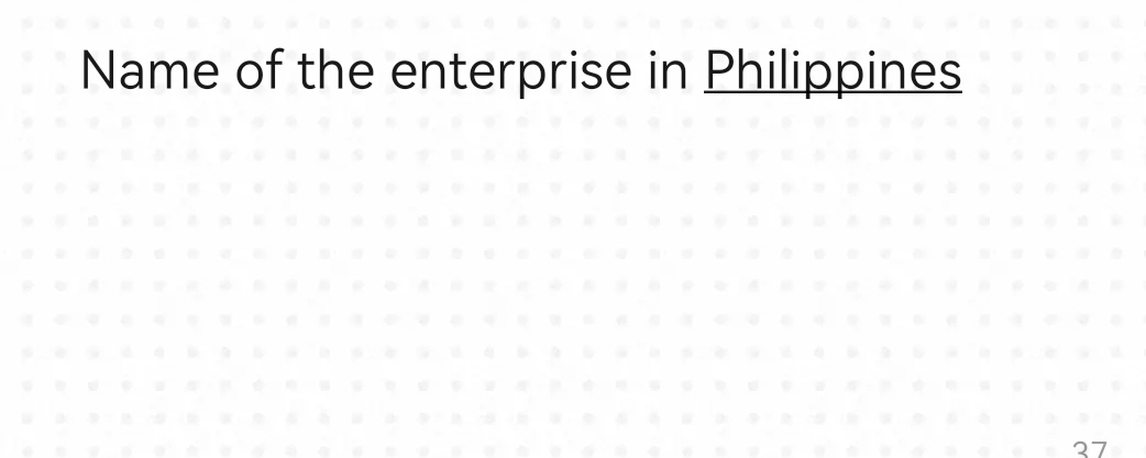 Name of the enterprise in Philippines
27