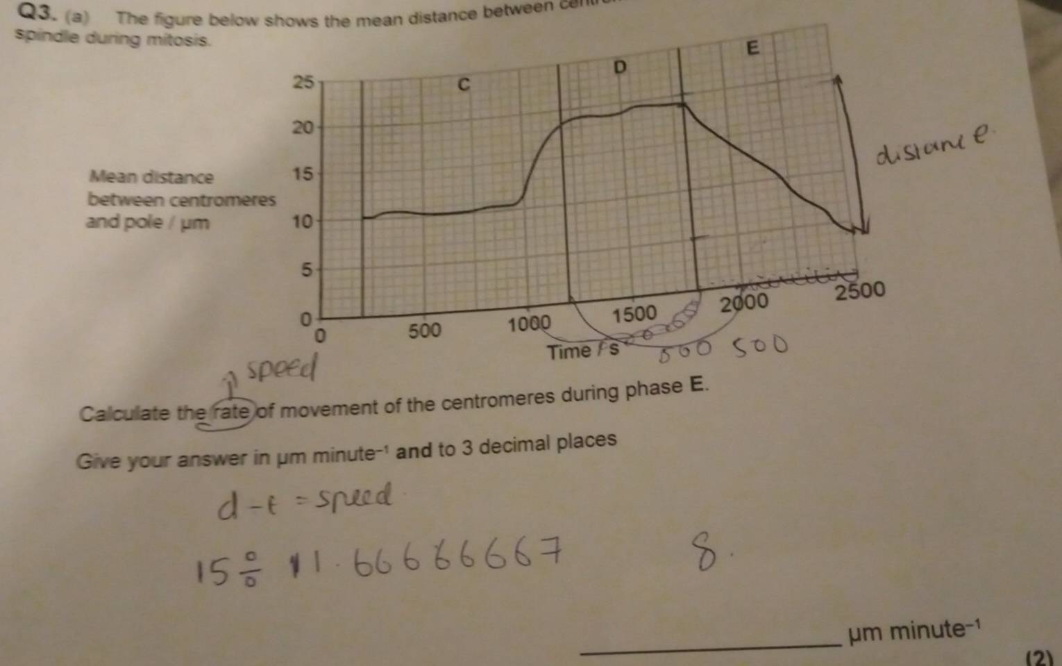 The figure below shows the mean distance between cer 
spindle during mitosis. 
E 
D
25
C
20
Mean distance
15
between centromeres 
and pole / μm 10
5
0 1500 2000 2500
0
500 1000
Time / s 
Calculate the rate of movement of the centromeres during phase E. 
Give your answer in μm minute -' and to 3 decimal places 
_m minute -¹ 
(2)