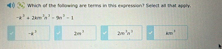 Which of the following are terms in this expression? Select all that apply.
-k^3+2km^3n^3-9n^3-1
-k^3
2m^3
2m^3n^3
km^3