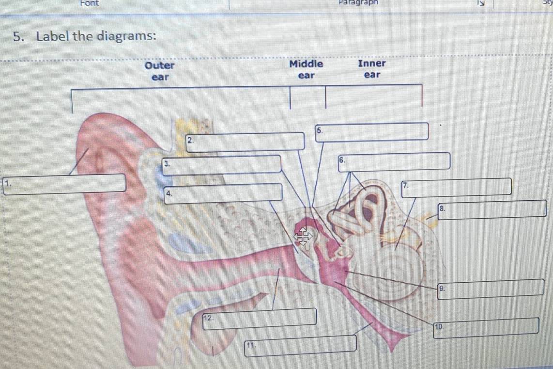 Font Paragraph ly 
5. Label the diagrams: