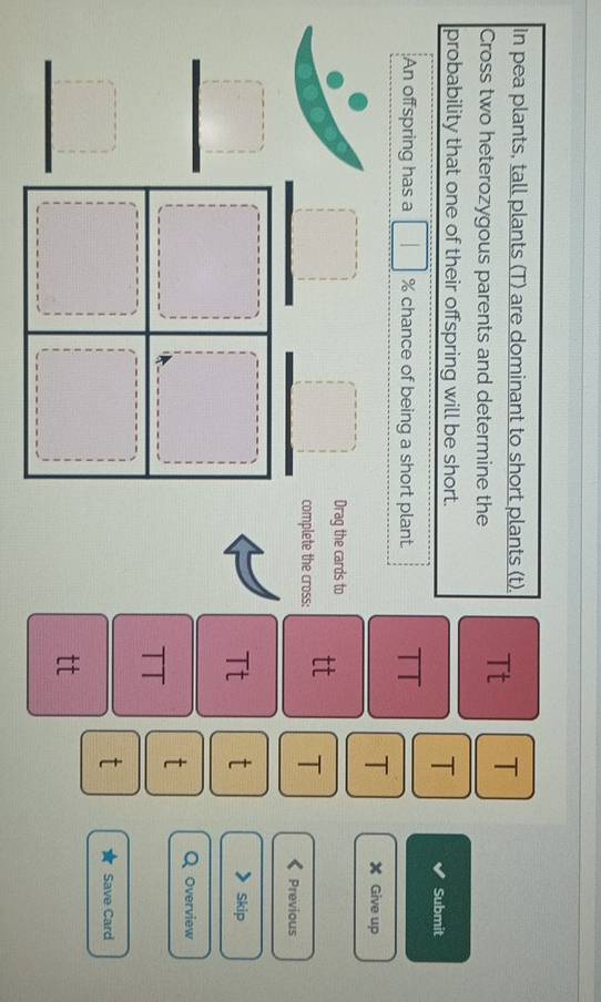 in pea plants, tall plants (T) are dominant to short plants (t). Tt T 
Cross two heterozygous parents and determine the 
probability that one of their offspring will be short. 
T Submit 
An offspring has a % chance of being a short plant. TT 
T X Give up 
Drag the cards to 
complete the cross: tt T Previous 
Tt t Skip 
t Overview 
TT 
t Save Card 
tt