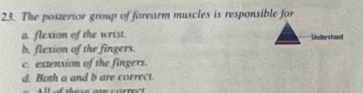 The poswrior group of farearm muscles is responsible for
a. flexion of the wrist.
orstand
h. flexion of the fingers.
c. extension of the fingers.
d. Both a and b are correct.