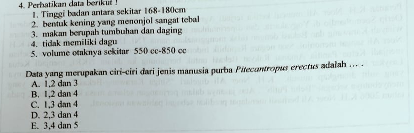 Perhatikan data berikut !
1. Tinggi badan antara sekitar 168-180cm
2. bentuk kening yang menonjol sangat tebal
3. makan berupah tumbuhan dan daging
4. tidak memiliki dagu
5. volume otaknya sekitar 550 cc-850 cc
Data yang merupakan ciri-ciri dari jenis manusia purba Pitecuntropus erectus adalah ... .
A. 1, 2 dan 3
B. 1, 2 dan 4
C. 1, 3 dan 4
D. 2, 3 dan 4
E. 3, 4 dan 5