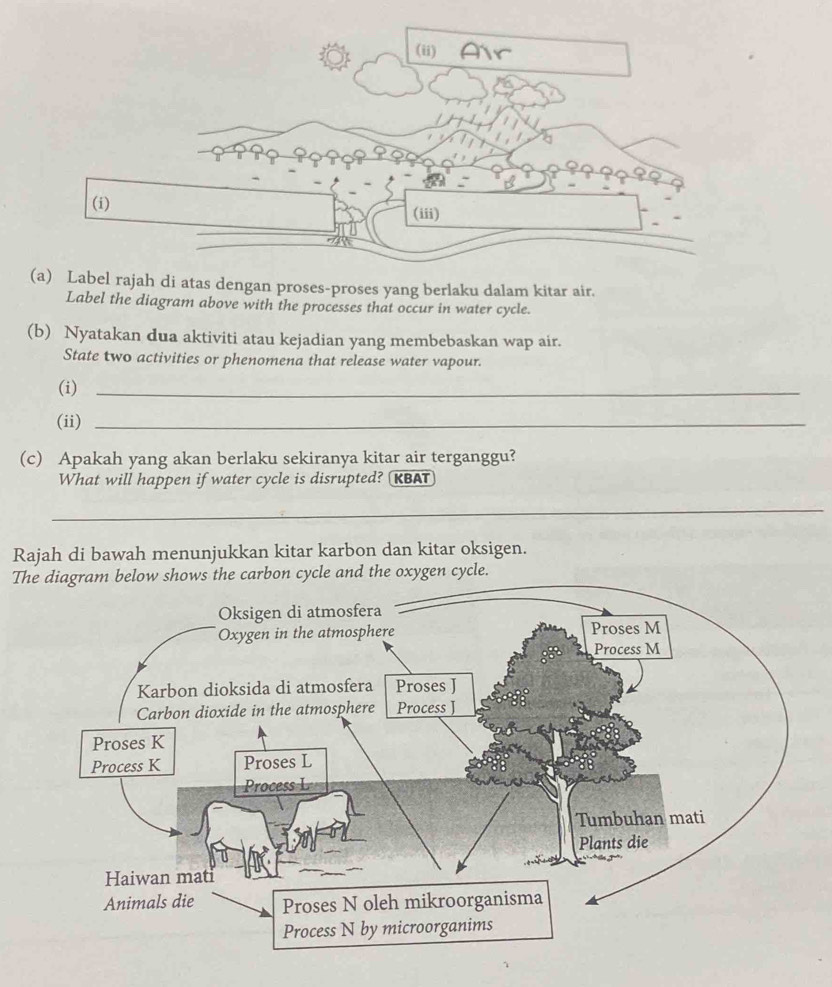 (ii) Ar 
(i) (iii) 
(a) Label rajah di atas dengan proses-proses yang berlaku dalam kitar air. 
Label the diagram above with the processes that occur in water cycle. 
(b) Nyatakan dua aktiviti atau kejadian yang membebaskan wap air. 
State two activities or phenomena that release water vapour. 
(i)_ 
(ii)_ 
(c) Apakah yang akan berlaku sekiranya kitar air terganggu? 
What will happen if water cycle is disrupted? KBAT 
_ 
Rajah di bawah menunjukkan kitar karbon dan kitar oksigen. 
The diagram below shows the carbon cycle and the oxygen cycle.