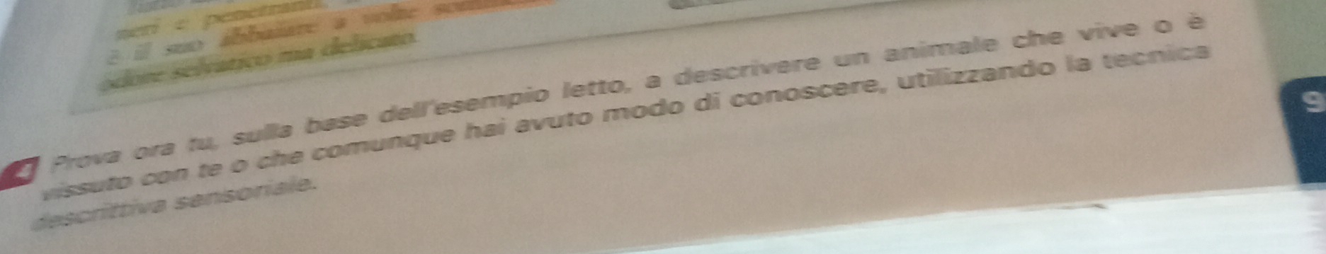 men e penetrad 
è il suo abbaiare a vole 
ódore selvático ma delicato. 
O Prova ora fu, sulla base dell'esempio letto, a descrivere un animale che vive o é 
a 
vissuto con te o che comunque hai avuto modo di conoscere, utilizzando la tecnica 
descrittiva sensoriale.