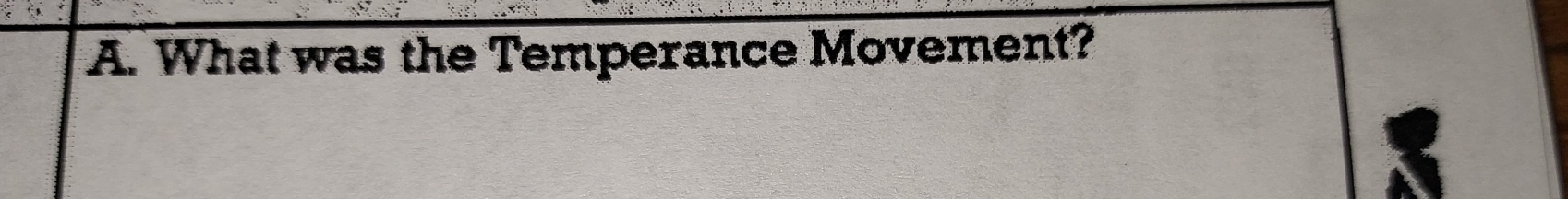 What was the Temperance Movement?