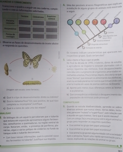 RGANIZAR O CONHECIMENTO
4. Uma das possíveis árvores filogenéticas que explicam
Transcreva o quadro a seguir em seu caderno, comple- a evolução de alguns grupos de animais está mostrada
tando-o com as informaçõe
Observe as fases de desenvolvimento do inseto abaixo
e responda às questões. 
Os números indicam características que aparecem nos
respectivos grupos. Quais seriam elas?
5. Leia o texto e faça o que se pede.
No final da década de 1990, criadores, donos de estufas
e agricultores da Inglaterra estavam alarmados com o
sumiço repentino das minhocas. Esse desaparecimento
coincídia com o surgimento de organismos amarefados se-
melhantes a lesmas. Pouco tempo depois, descobriu-se que
essas "lesmas", que estavam se alimentando das minhocas,
eram na verdade planárias terrestres que tinham vindo com
a terra trazida em vasos de plantas exóticas da Oceania,
(Imagem sem escala: cores-fantasia.) a) Aponte pelo menos duas diferenças entre as lesmas
e as planárias.
b) Que consequências ambientais o desaparecimento das
*) Qual é o tipo de desenvolvimento: direto ou indireto? populações de minhocas pode provocar?
b) Ocorre metamorfose? Em caso positivo, de qual tipo: COMPARTILHAR
completa ou incompleta? Justifique.
c) Qual é o nome de cada uma das etapas? 6. Quando se estuda biodiversidade, aprende-se sobre
diversos animais que nunca vimos. Vários deles, inclu-
ANALISAR sive, parecem finúteis" e "supérfluos", sem relação com
o mundo em que vivemos. Será que é assim mesmo?
3. Os biólogos de um aquário perceberam que o tubarão Com um colega, faça uma pesquisa sobre algum animal ou
que estava em exposição apresentava alguns ferimen- grupo para responder às seguintes questões:
tos, semellhantes a queimaduras, na região ventral do
corpo. Notaram, então, a presença de poríferos, pla- Esse animal ou grupo tem papel ambiental?
márias, algas e vários pólipos de cnidários no fundo do Esse animal ou grupo tem papel econômico?
tanque onde o tubarão descansava.
Esse animal ou grupo tem alguma relação com a sociedade?
Com base nessas informações, qual é a possível causa Após a pesquisa, façam uma rápida apresentação para a
dos ferimentos no tubarão? Justifique sua resposta. classe, explicando as relações do animal ou grupo.
161