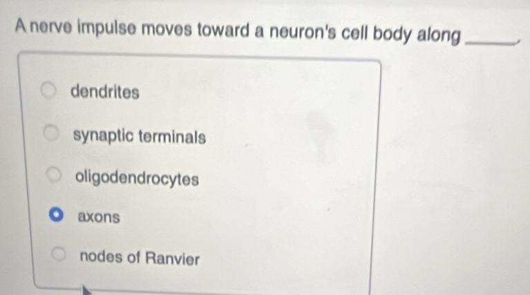 A nerve impulse moves toward a neuron's cell body along_
dendrites
synaptic terminals
oligodendrocytes. axons
nodes of Ranvier