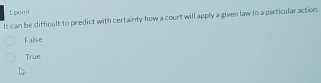 It can be difficult to predict with certainty how a court will apply a given law to a particular action,
False
True