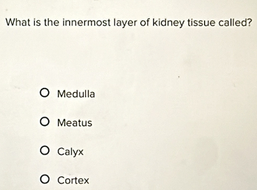 What is the innermost layer of kidney tissue called?
Medulla
Meatus
Calyx
Cortex