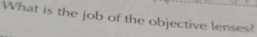 What is the job of the objective lenses?