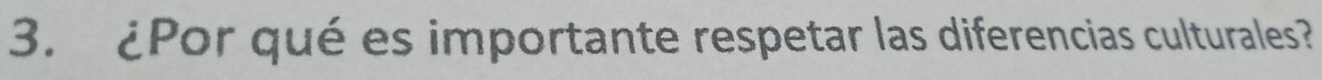 ¿Por qué es importante respetar las diferencias culturales?